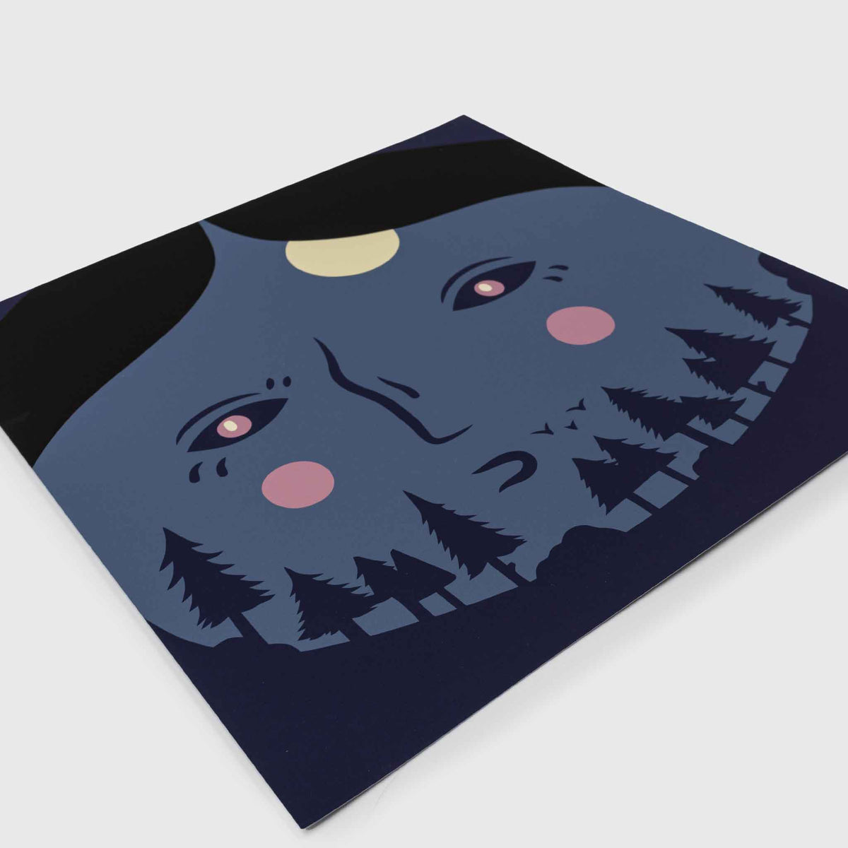 THE SMALLEST SOUND IN THE BIGGEST PLACE poster